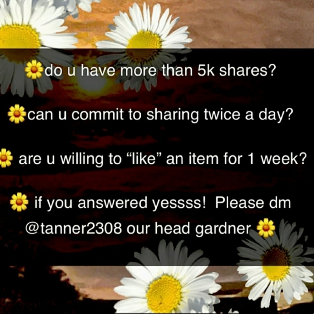 CRAZYDAISY weekly Share Group NOW OPEN - Grow ur Posh Business